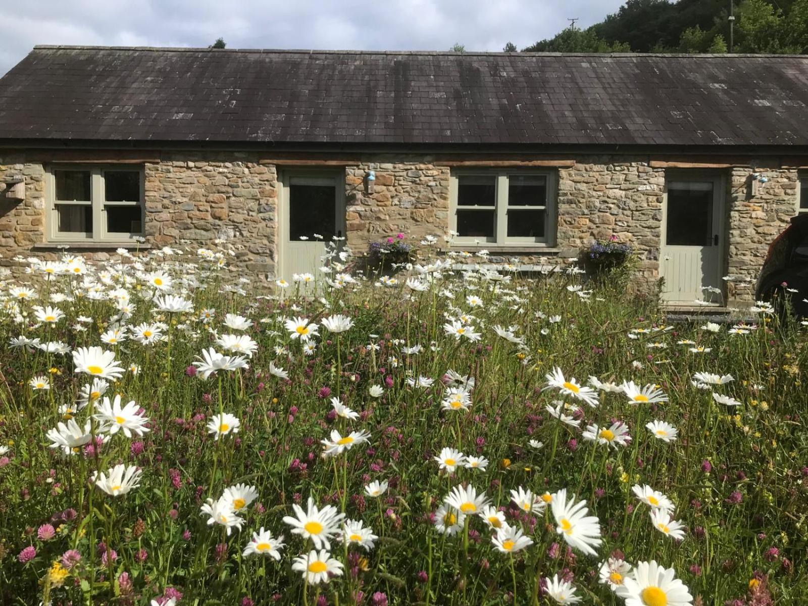 Danygraig Cottage Carmarthen Exterior foto
